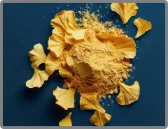Ginkgo Biloba